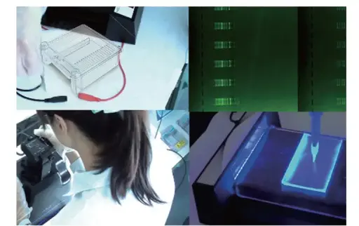 [SK-ELECTRO-1121] SafeBlue Darkroom viewer