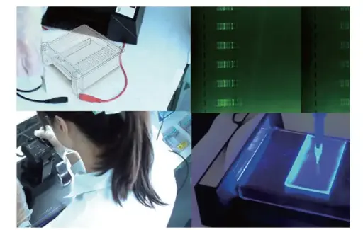 [SK-ELECTRO-1120] SafeBlue 210 Imager System with 18 megapixel digital camera and hood kit